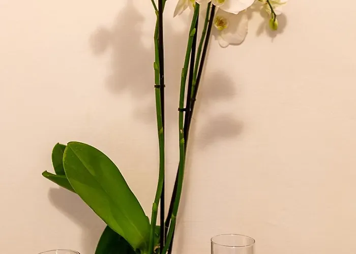 Piazza Venezia Attic Floor Appartamento Roma